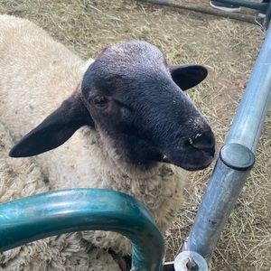 Meet your Posher, Melinda n greg